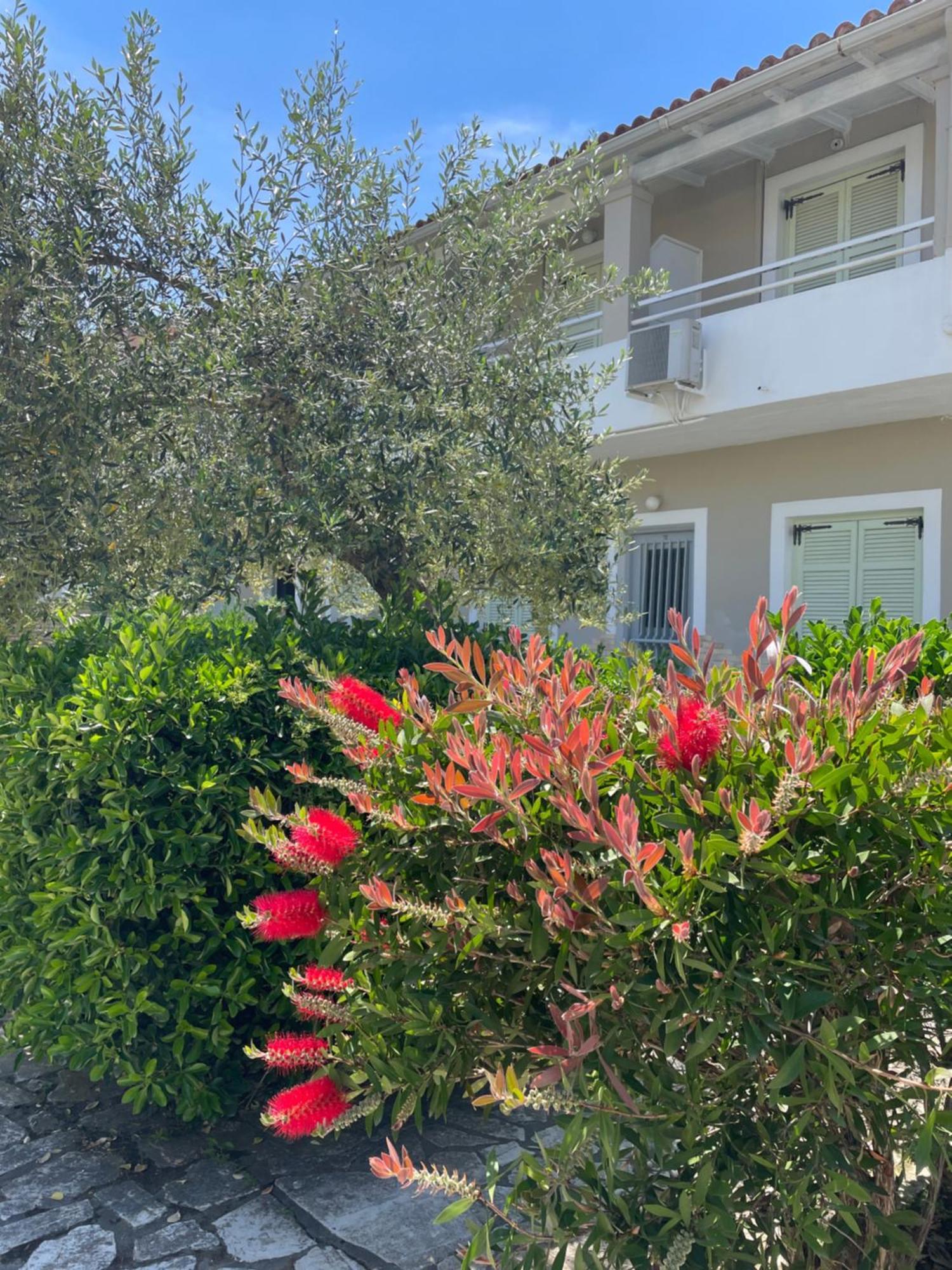 Alexandros Roda (Corfu)